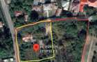 Vand 700 mp (teren intravilan+ casa), Leu , jud Dolj livada pomi - 2