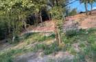 vind teren linga oras Cluj in xona Faget Sud zona agreata pt relaxare a clujenilor - 3