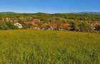 Teren Intravilan Premium 3040 mp in Romane?ti (Tome?ti) - 3