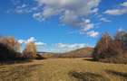 Teren 9.000 mp Bran – Tohănița | Intravilan | Deschidere 60 m  Vedere Panoramica - 3