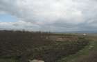 Teren agricol 5 ha, parcela compacta - 1