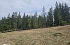 Teren de vanzare in Bucovina Fundu Moldovei - 8