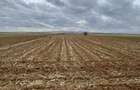Teren extravilan 2500 mp,cu acces la Centura ,Radauti - 6