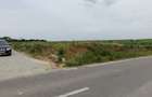 Vand teren Mariuta - Belciugatele-1000mp - Intravilan - 30/mp-Direct Proprietar - 3