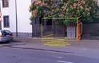 4 camere la curte in zona verde civilizata si intima. - 3
