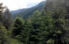Proprietate rara in inima Retezatului 5.700 mp teren intravilan - 7