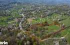 Teren 15.856 mp de vanzare in comuna Valea Ia?ului, jude? Arge?. - 3
