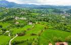 Teren agricol de 11000 mp, în Bran - 1