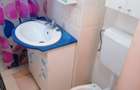 Apartament cu 4 camere vizavi de Parcul Plumbuita - 13