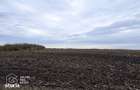 Teren agricol de vanzare, 17.900 mp, comuna Utvin - 1