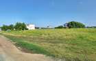 Teren intravilan, 2810 mp, Branesti, sat Islaz, acces din 2 strazi - 3