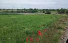 Vand teren Mariuta - Belciugatele-1000mp - Intravilan - 19€/mp-Direct Proprietar - 2
