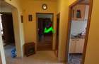 Apartament cu 3 camere decomandat în Terezian - 3