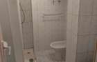 Apartament cu gradina cartier Aviatorilor - 1