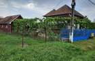 Casa de locuit Bogata Mures - 4