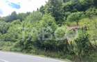 Teren extravilan de 2500 mp, în Rășinari - 3
