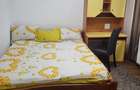 Apartament cu 2 camere decomandat în Canta - 7