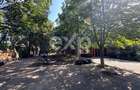 Vila de vanzare Pipera- Drumul Negru - 2500 mp teren - 5