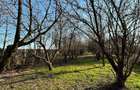 Vand casa sat Jiul comuna Tuglui 32.000 euro si 1 teren separat la 13.500 euro - 7