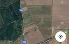 Teren Intravilan Vadu Anei Branesti Ilfov - 2