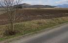 Teren agricol extravilan de 20000 mp, în Bod - 2