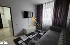 de inchiriat apartament 2 camere Centrul Civic - 7