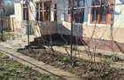 Casă cu 3 camere în Drănic - 4