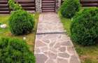 Casa pitoreasca S+P+M (166mp/1360mp) - 3