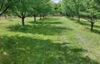 Teren de 4250 mp, în Ungureni (Dragomirești) - 8