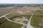 Teren Construcții intravilan de 5000 mp, în Exterior Nord - 4