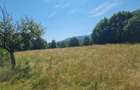 Teren de vânzare – 3.250 mp în Valea Dejani | Natură, liniște și potențial - 3