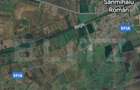 Teren extravilan de 60600 mp, în Sânmihaiu Român - 2
