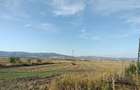 Teren intravilan, Ora?tie, Hunedoara 8.500 m