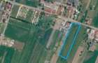 Teren 15,000mp Salcea-Prelipca, Suceava - 5
