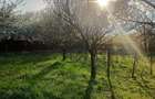 Proprietate de vanzare - 10