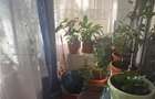 Apartament 4 camere bloc ''80 langa metrouPiata Crangasi - 11