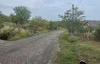 Vand URGENT teren intravilan 1000 mp str Livezilor - 1
