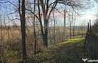 Teren de vanzare in Fratautii Noi / Strada Dealului - 6