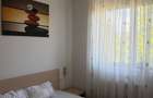 Apartament doua dormitoare inchiriat Timisoara - 3