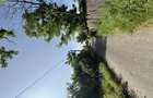 Teren Intravilan 5000m2 Titu - 5
