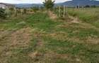 Teren de 1800 mp, în Recea - 2