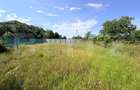 Teren intravilan, 700 mp, Cosoveni - 4