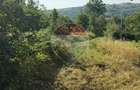 Teren constructie casa in Cernesti, pe deal - 3