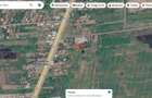 VAND URGENT teren intravilan Tancabesti, Snagov, 1065 mp - 1