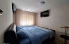 Apartament spatios cu 2 dormitoare, renovat si mobilat-Aradului - 5