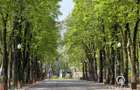 2 camere Copou Parcul Expozitiei Bloc nou 145900 euro - 3