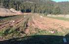 Teren de 4700 mp, în Central - 3