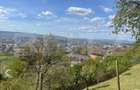 Teren intravilan 890 mp, panorama deosebita, Colonia Breaza - 1
