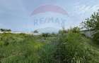Teren intravilan de vanzare 2.464 mp, Gurbanesti