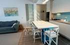 Penthouse Dumbravita , 3 camere 2 baii - 6